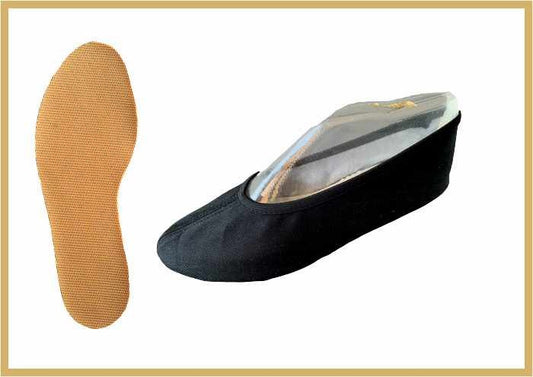 IWA 164 Standaard Gymnastiekschoenen