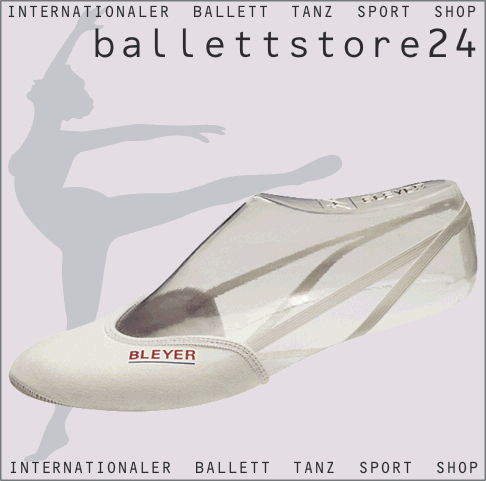BLEYER 1828-01 RSG-petten