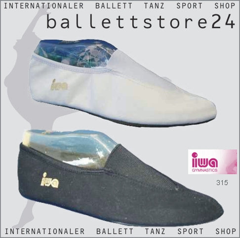 IWA 315 Artistieke Fietsschoenen Microvezel