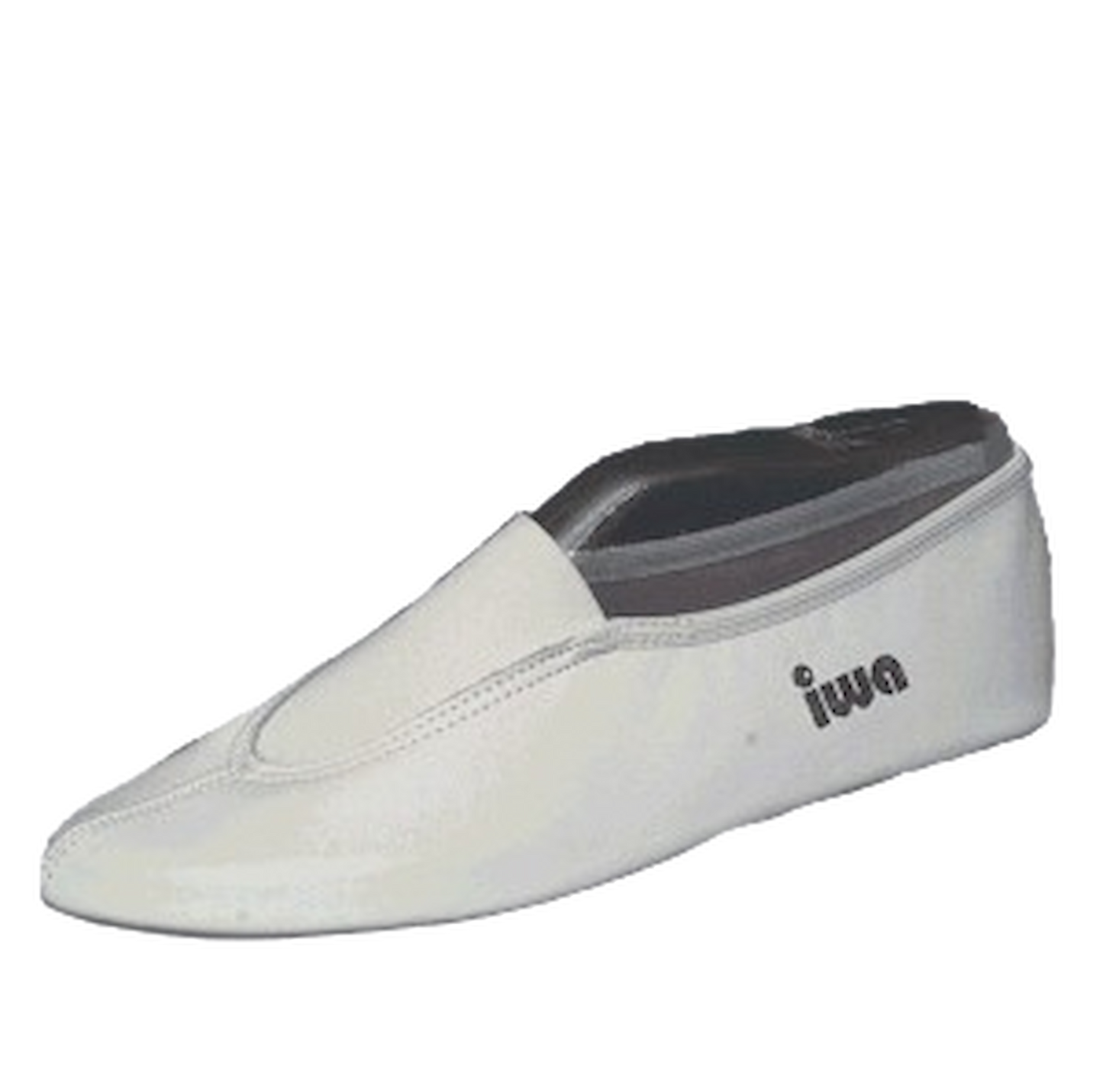 IWA 210 springschoenen