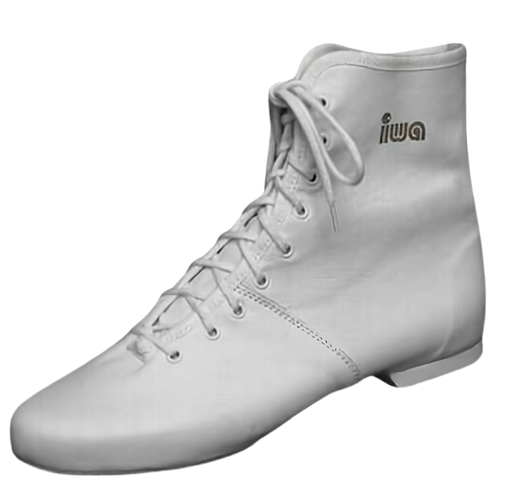 IWA 905 Guard Boots Danslaarzen